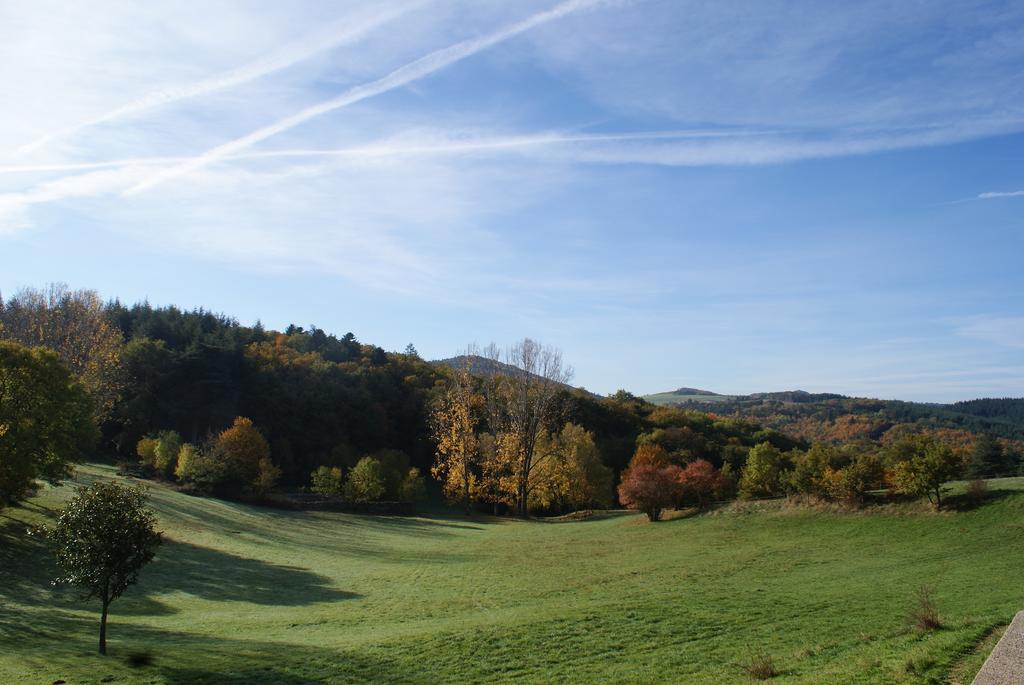Chateau Du Besset Saint-Romain-de-Lerps Eksteriør billede