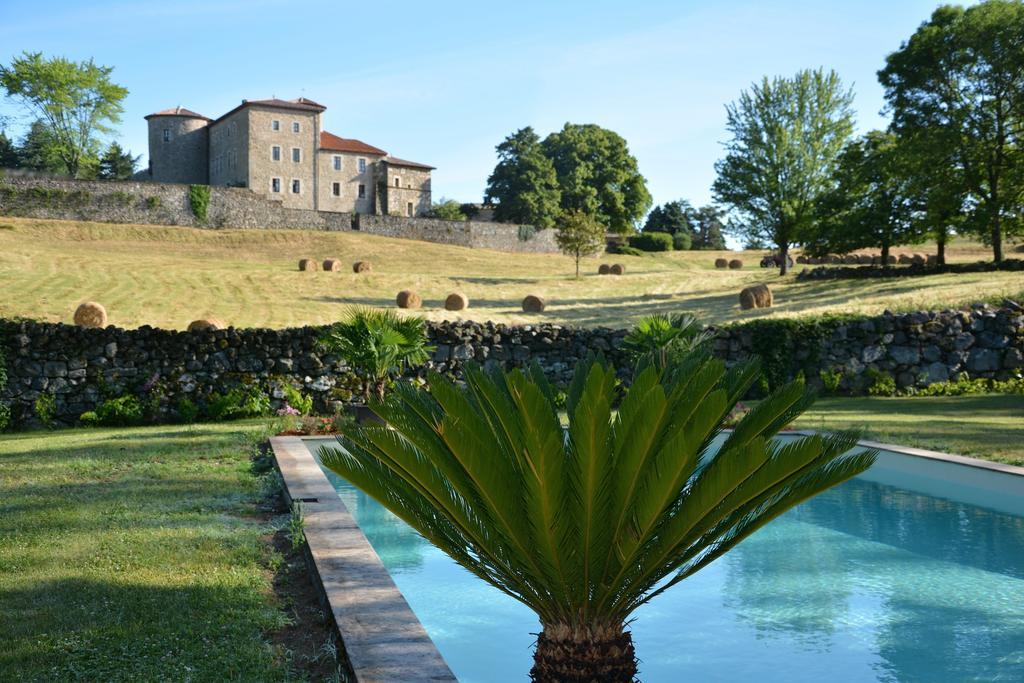 Chateau Du Besset Saint-Romain-de-Lerps Eksteriør billede